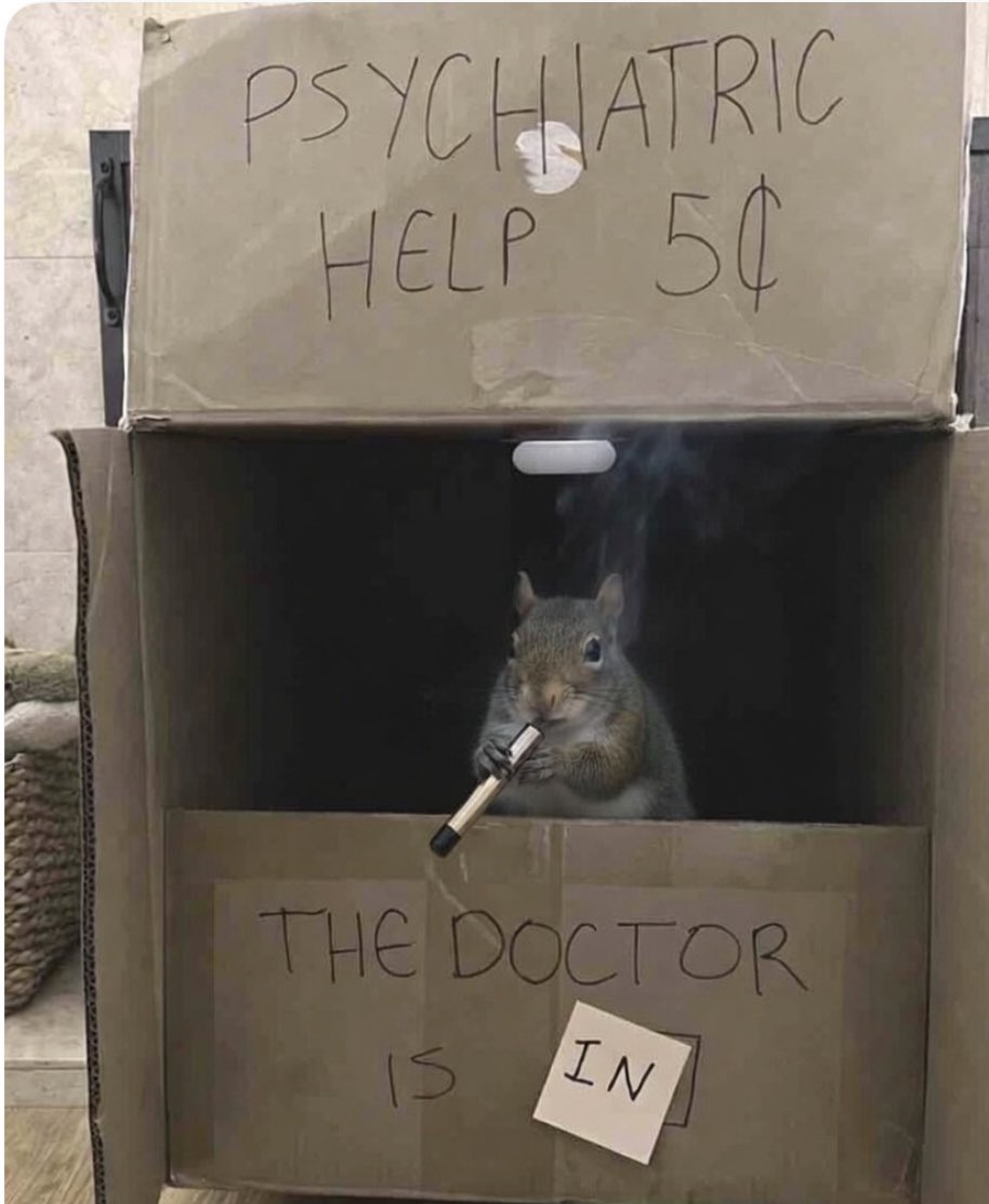 Crypt_Witch 🐈⬛ tweet media