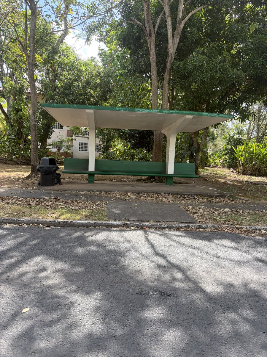 Raisa Banfield #PanamáSoberana🇵🇦 tweet media