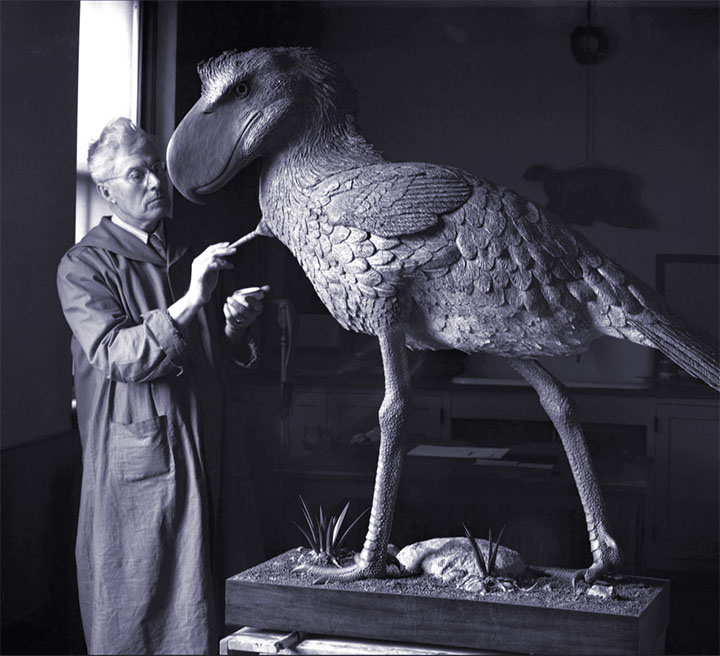 Kelitensis tweet media