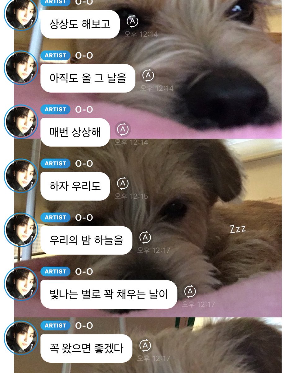 레이니!!!!!! tweet media