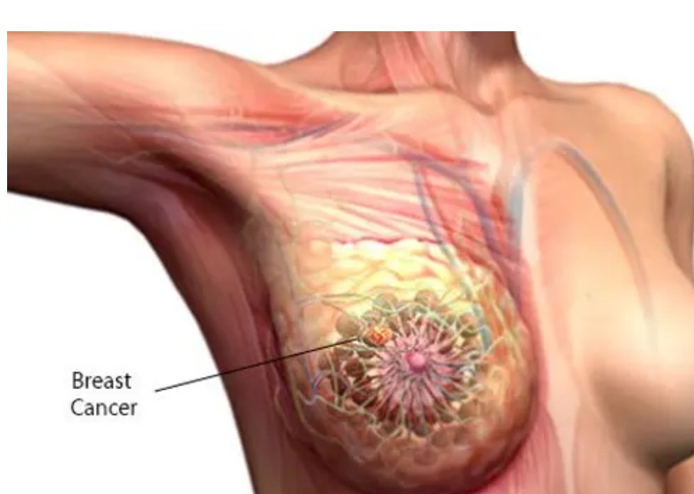 Dr Albert ™️ tweet media