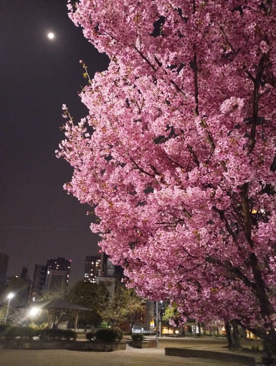 すんすん tweet media