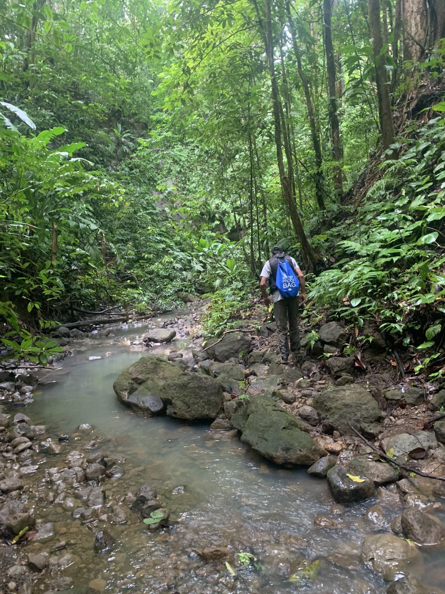 Fire Keeper tweet media