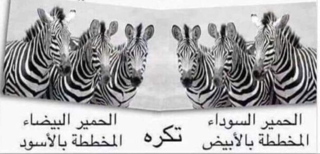 Victorioso tweet media