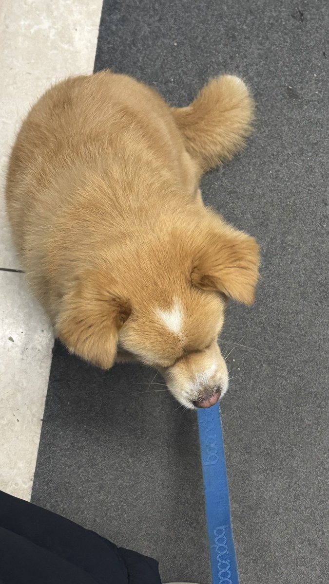 김딱밤 아카이브 tweet media