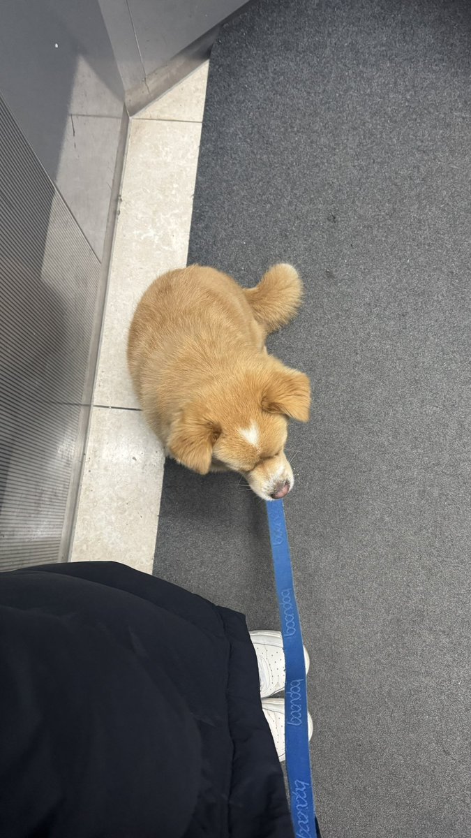 김딱밤 아카이브 tweet media