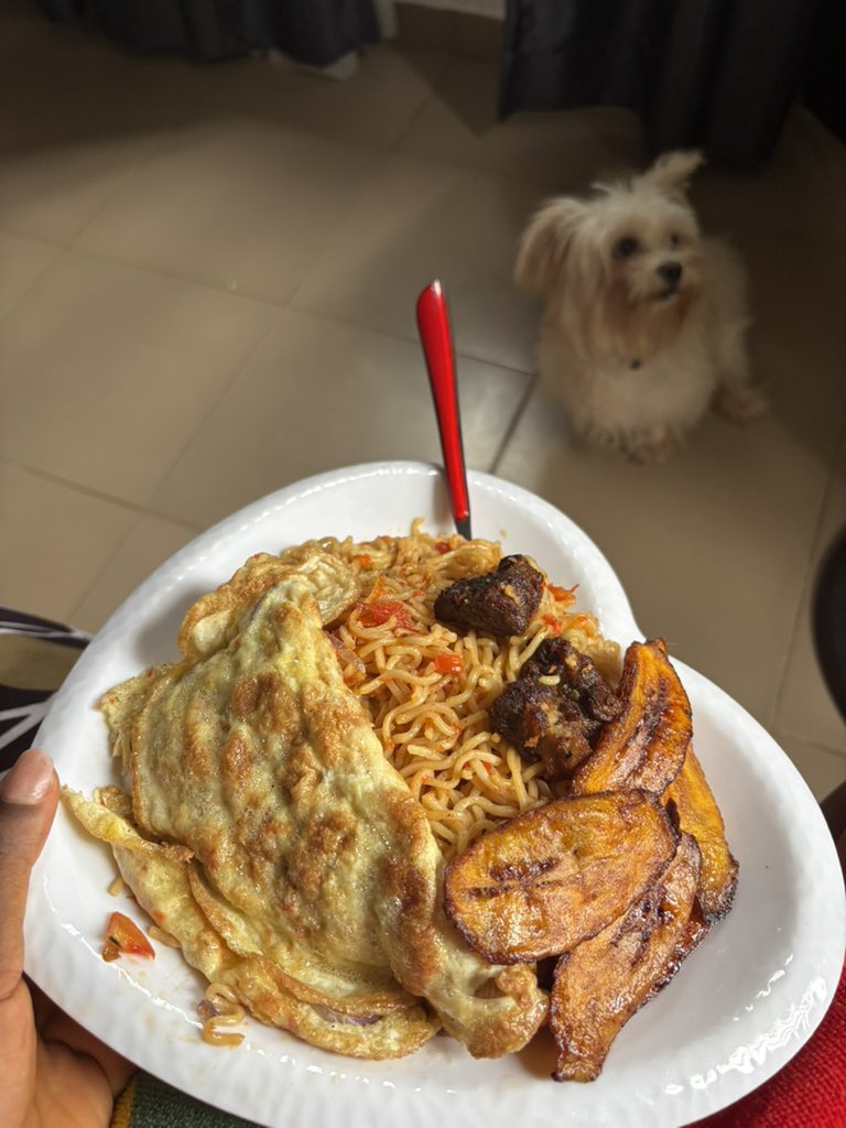 I made noodles for my dog🥹❤️