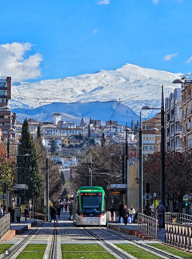 unai🇵🇲🚃🦕 tweet media