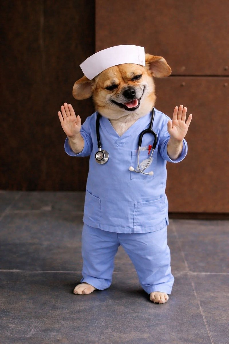 TiTi💜🌸 tweet media