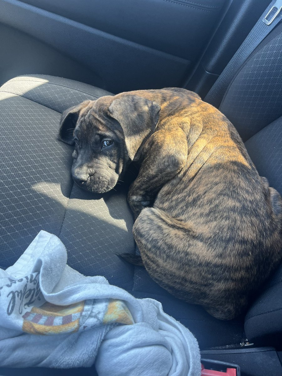 Fran Walsh tweet media