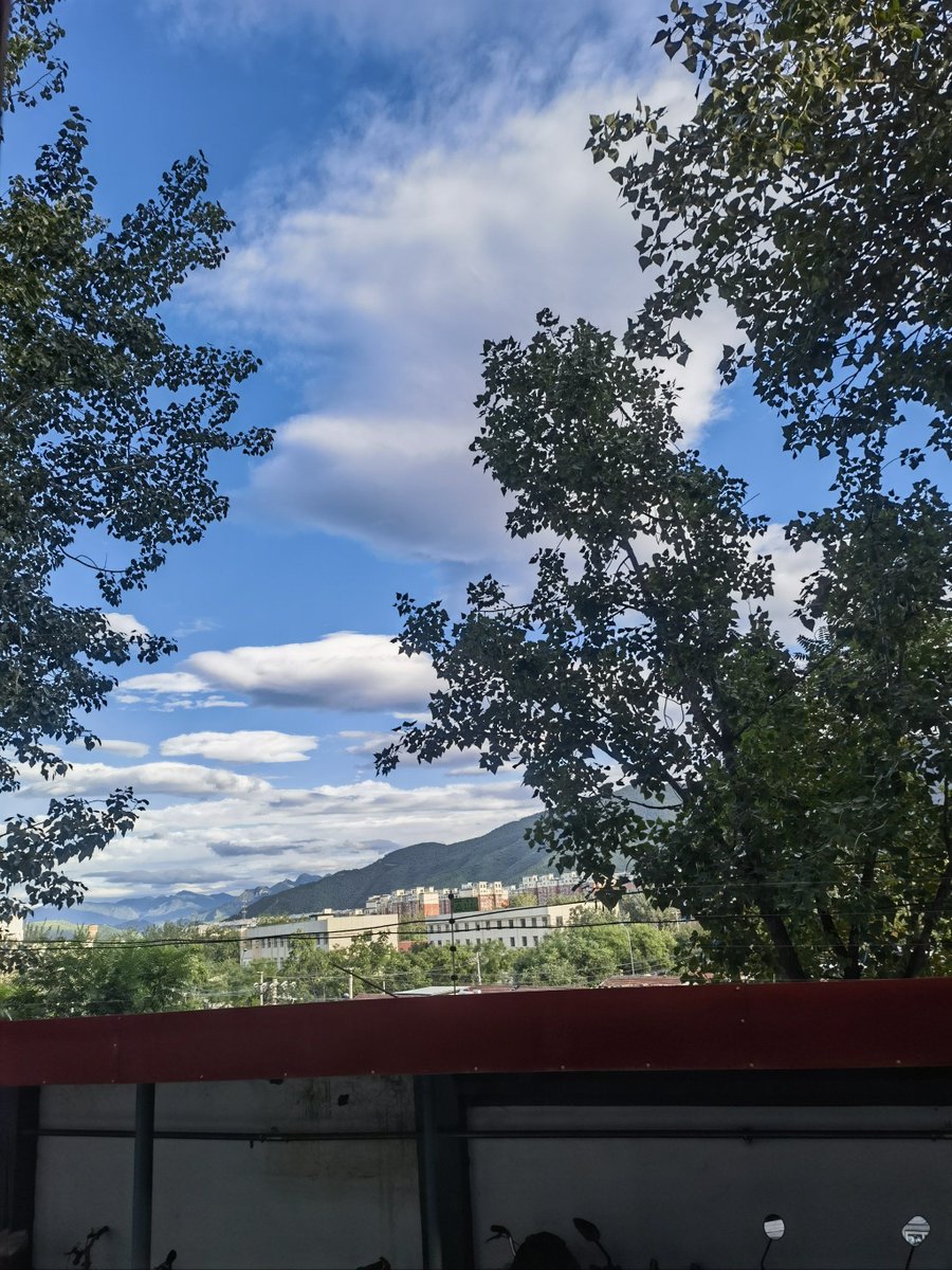 matt tripa tweet media