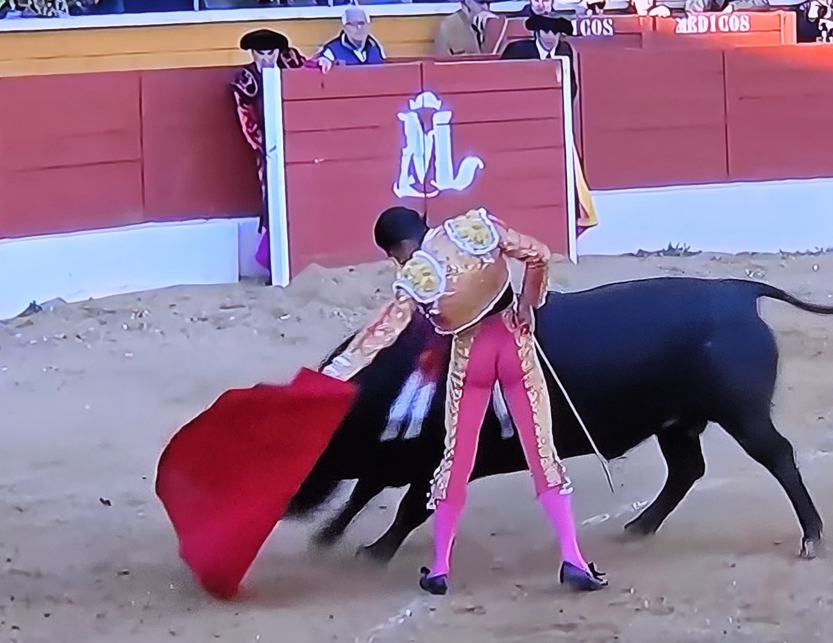 ToroAlcarria tweet media