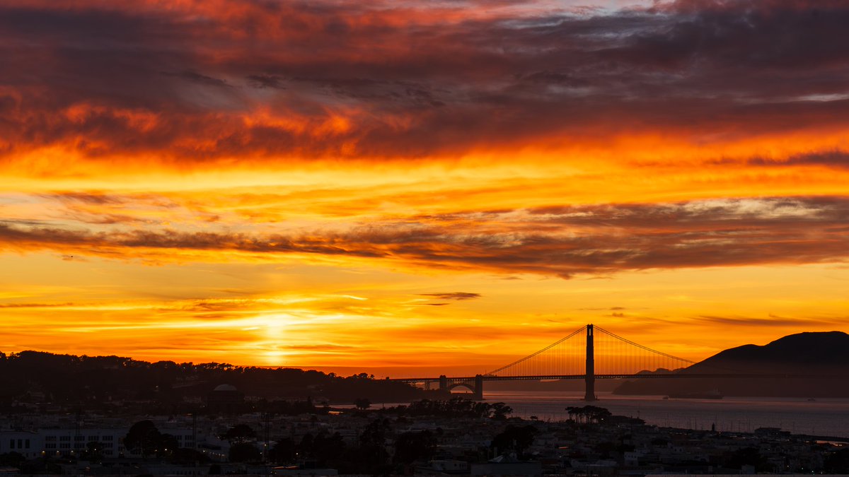 Stuart Berman tweet media