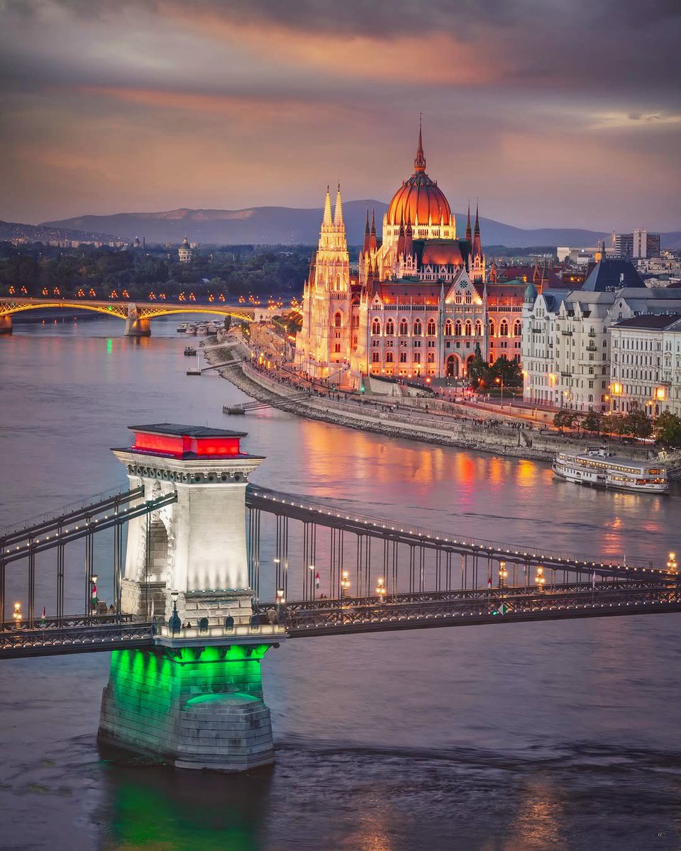 Emese Balog ن tweet media