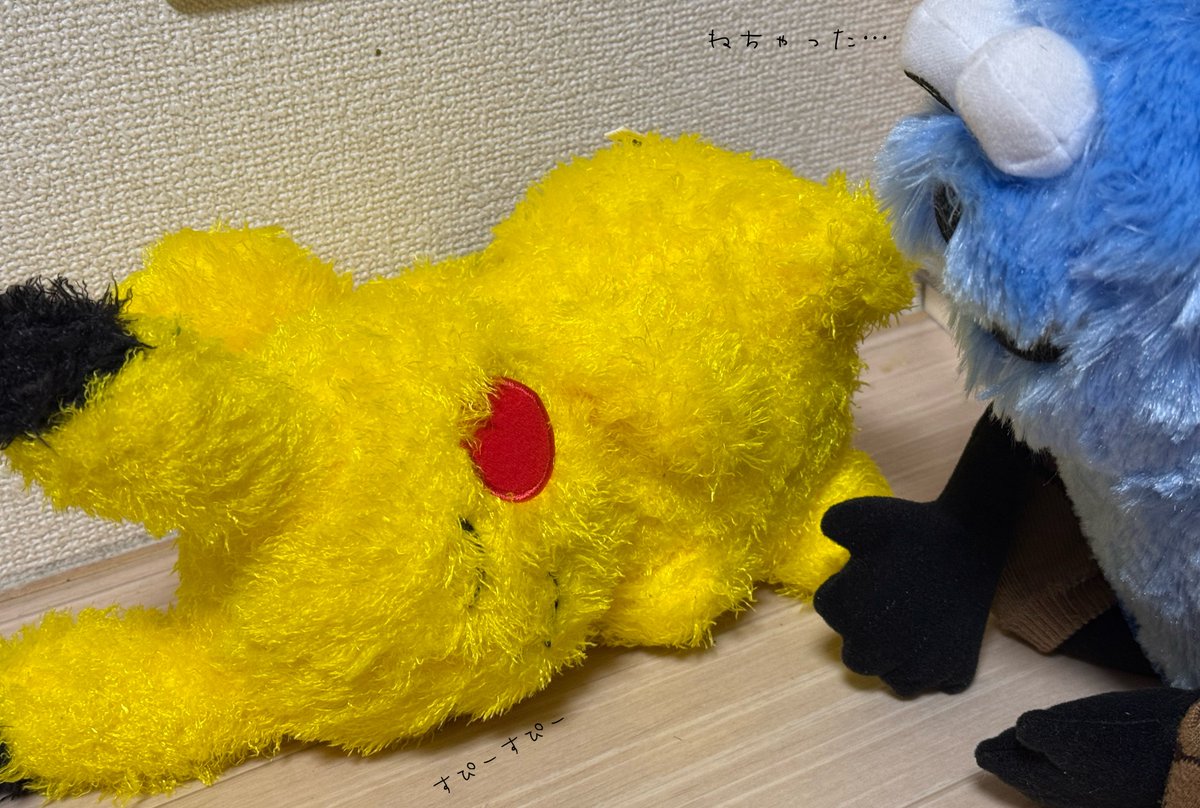 ふぁん太郎 tweet media