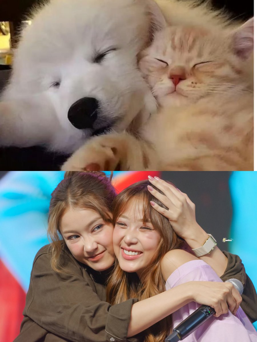 🫶🏼 tweet media