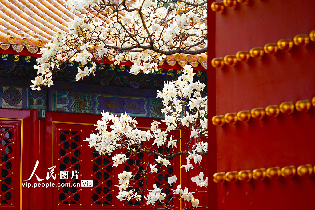 Zhu Jingyang tweet media