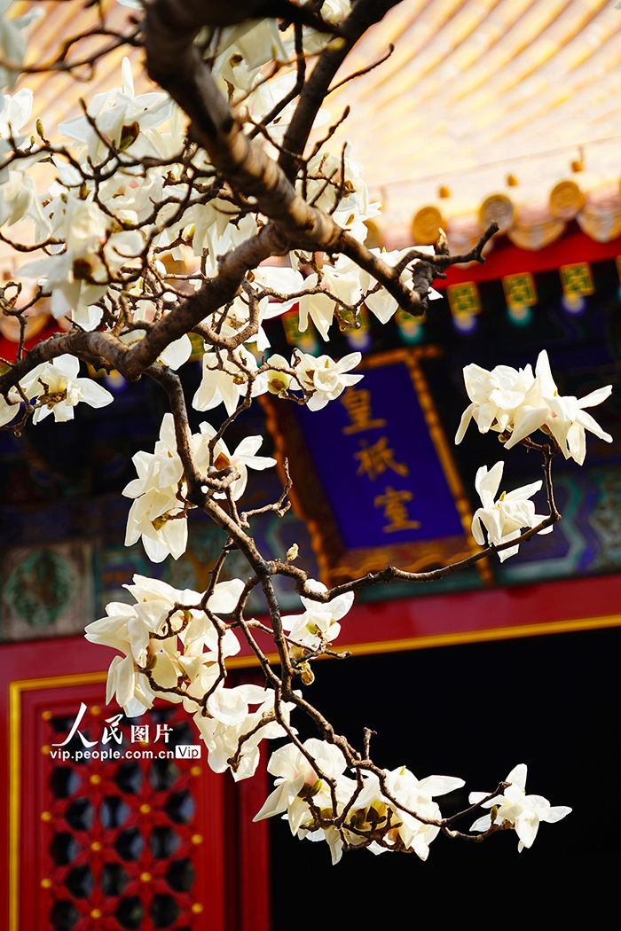 Zhu Jingyang tweet media