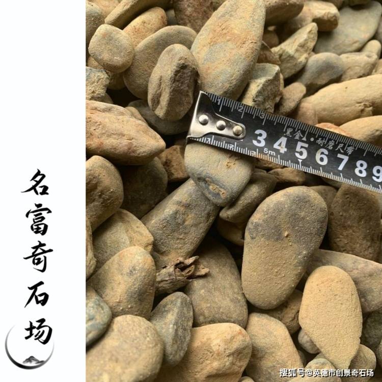 Brandi Leigh tweet media