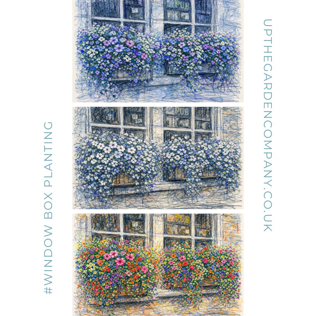 UpTheGardenCo's tweet photo. Bring your windows to life 🌸✨
Our bespoke window box planting service transforms everyday views into something truly special—seasonal, colourful and full of charm.
👉 https://t.co/m4YKRcChI7
#WindowBox #GardenDesign #PlantingDesign #CurbAppeal #SeasonalPlanting #GardenInspo https://t.co/SIyI2QUEDB