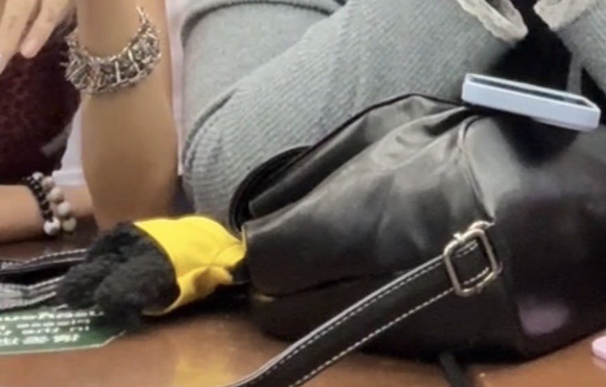 สามลี(slow) tweet media