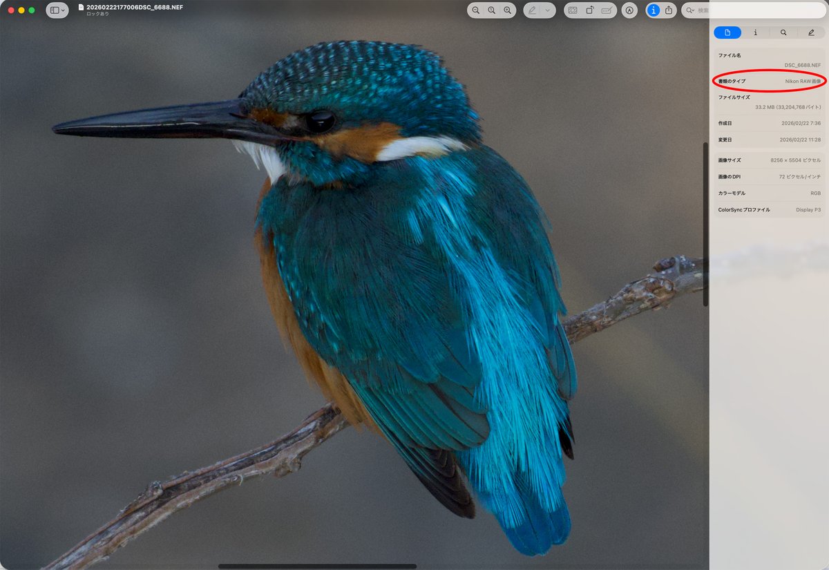 DigitalGoRound's tweet photo. macOS Tahoe 26.4のリリースノートには記載は無いけど、NEFの高効率RAWがFinder（ファインダー）やPreview（プレビュー）でも表示されるようになったね。
https://t.co/7JZOq8bLUX

#macOS #NEF #高効率RAW https://t.co/gIhS29LHyD