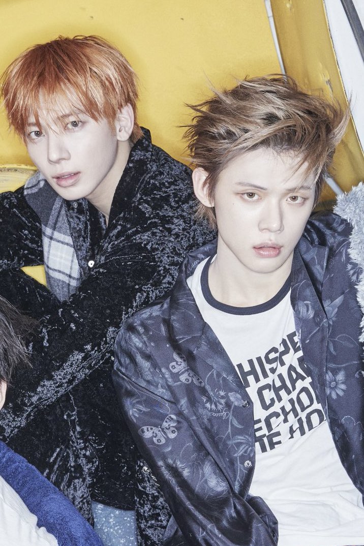 FebeverSep🐈🐈‍⬛ tweet media