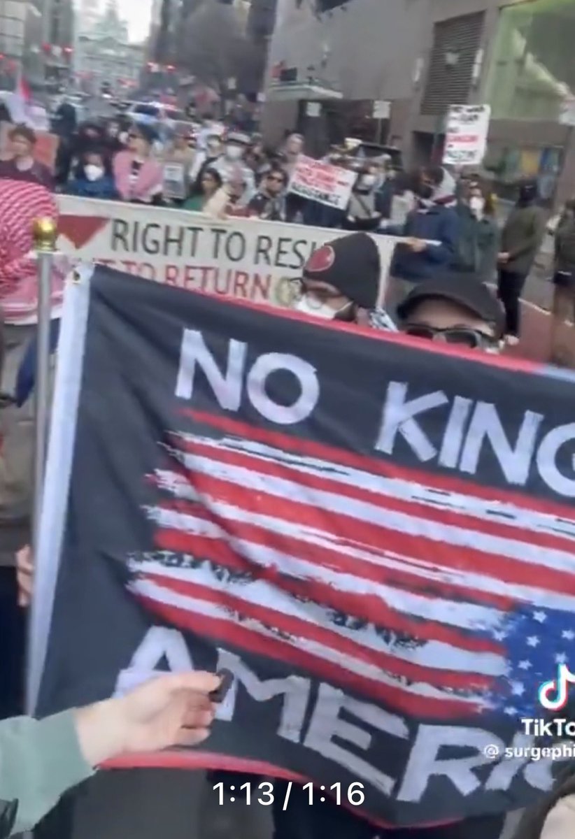 Tali Goldsheft tweet media