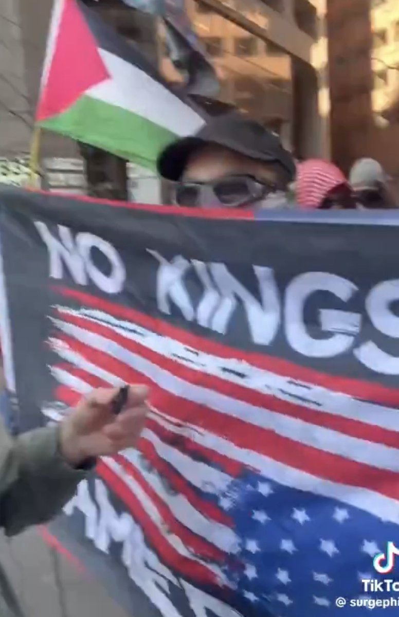 Tali Goldsheft tweet media