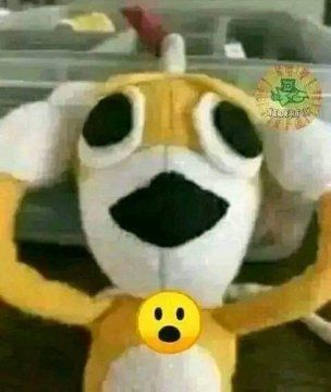 Foyi 🍞 tweet media