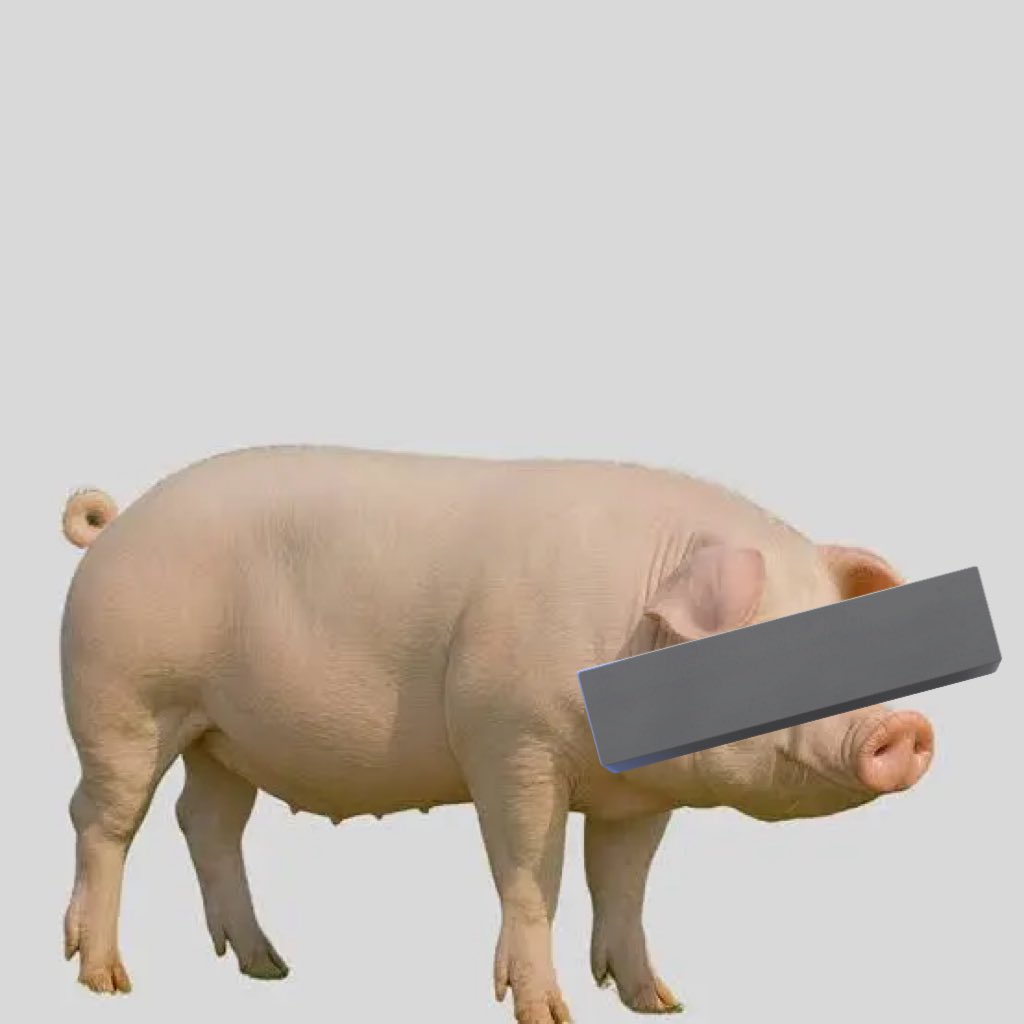 thenameismario🦇🍀 tweet media