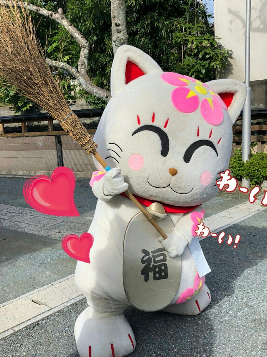 追い出し猫サクラ🍰(゜∇^🌸)公式 tweet media