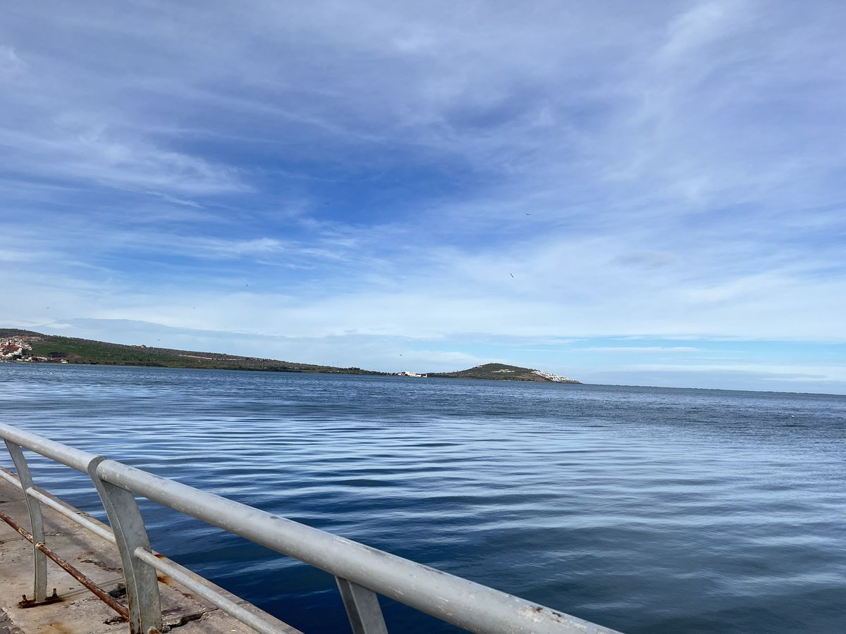 the fool tweet media