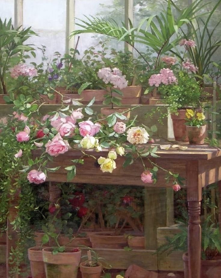 Munevver 🪶 tweet media