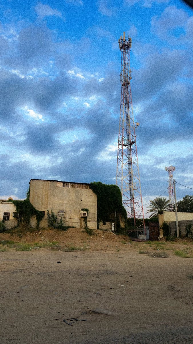 MOLT|موُلت tweet media