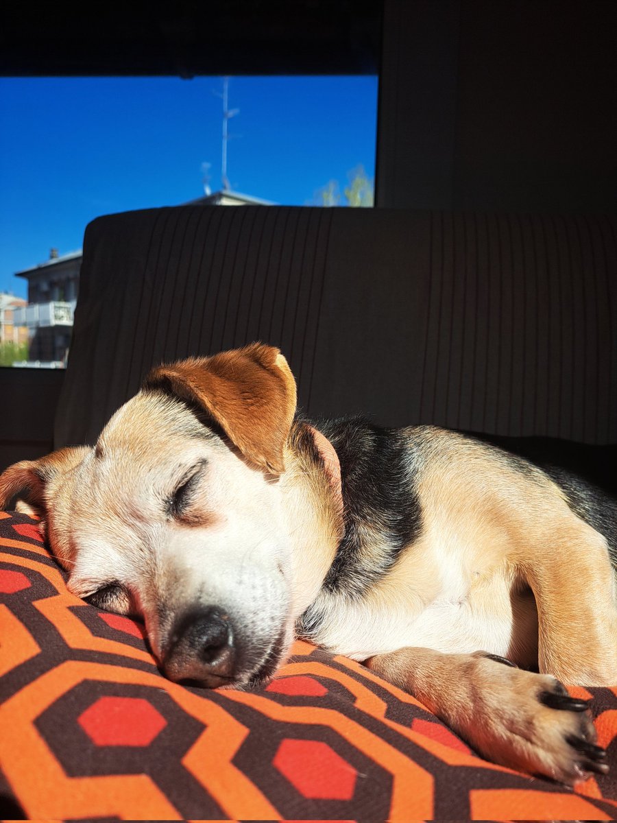 C1-QB8 | cubotta tweet media