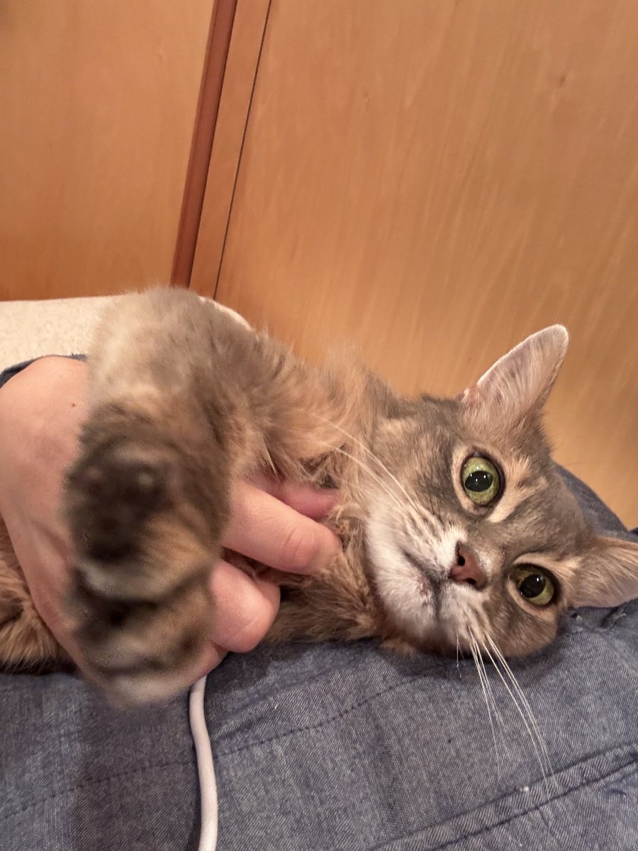 ryuta masuyama tweet media