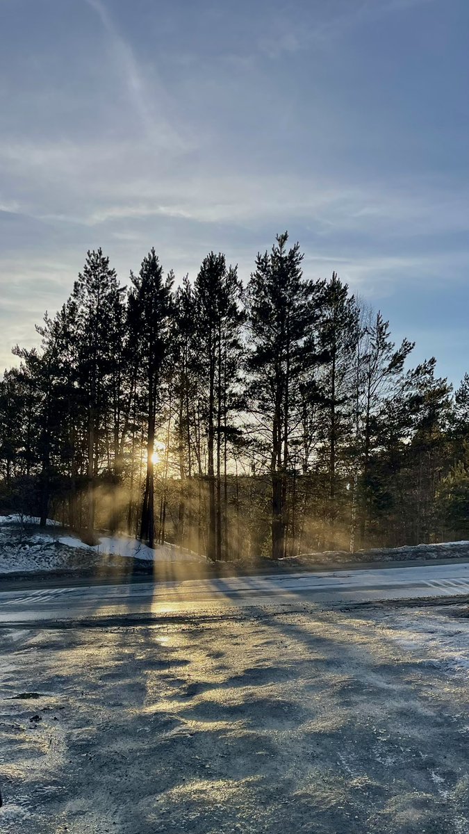 Olka Lisi4ka tweet media