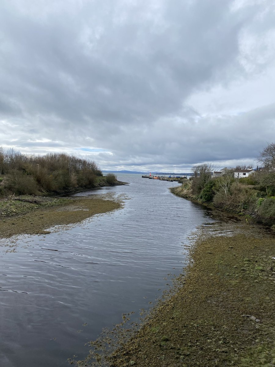 Michael Killoran tweet media