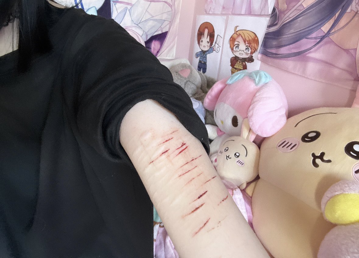 lei chan (･ω･´) 🍟💢🐾 tweet media