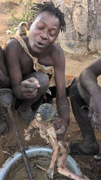 Katakuri tweet media