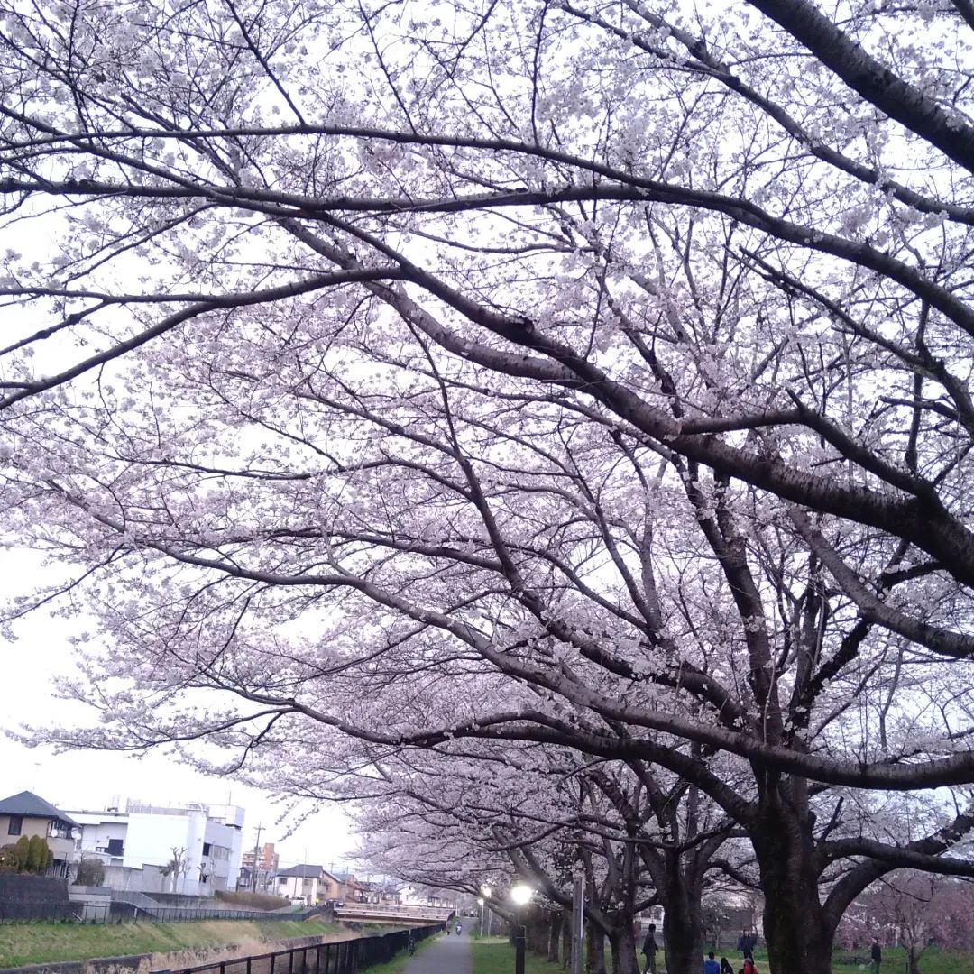 お父さん＠へでな士事務所 tweet media