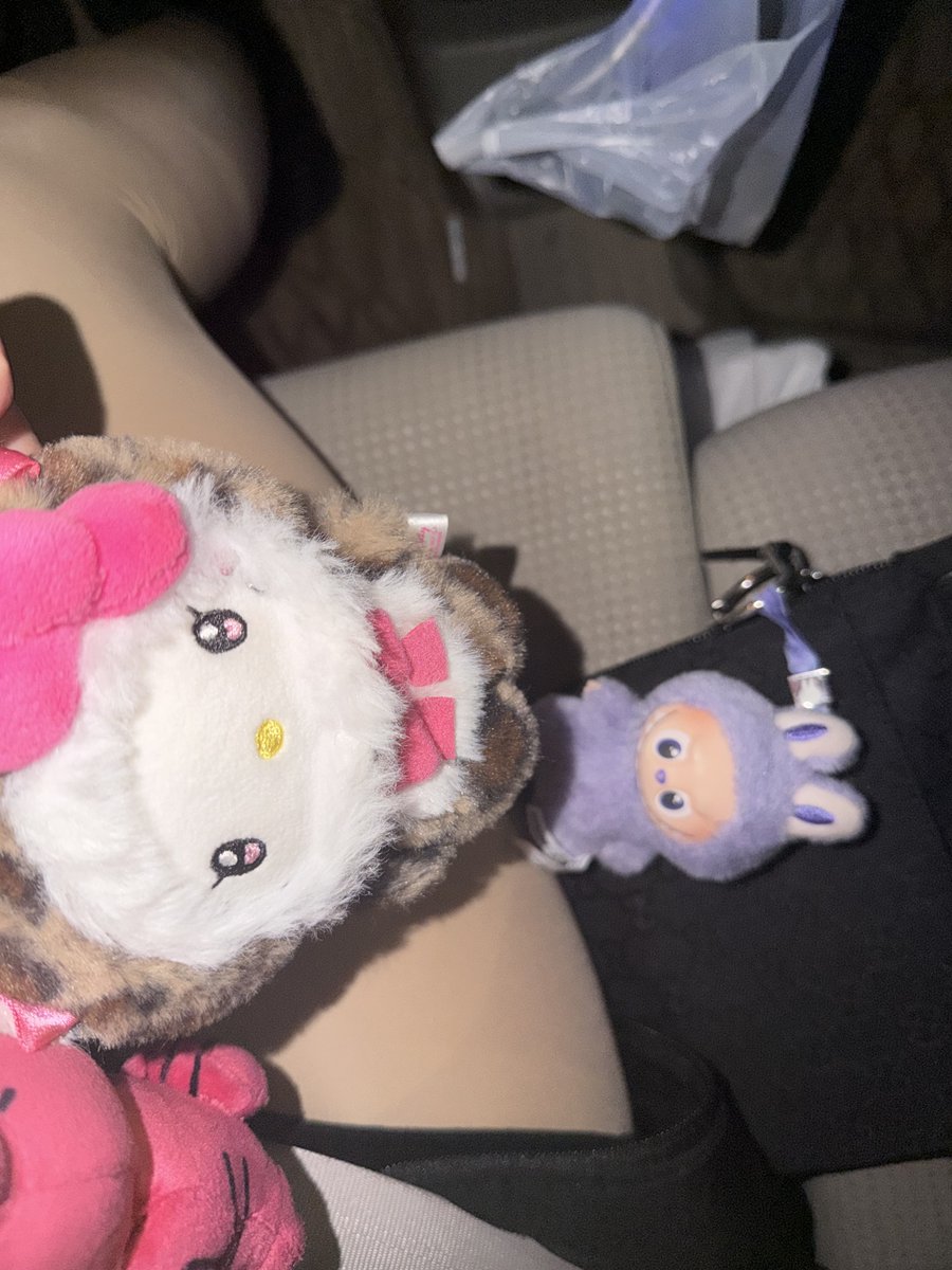 りかこがきたにょ tweet media