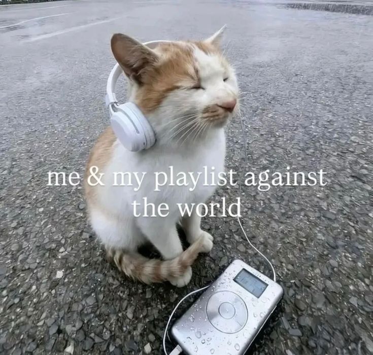 Se - REST tweet media