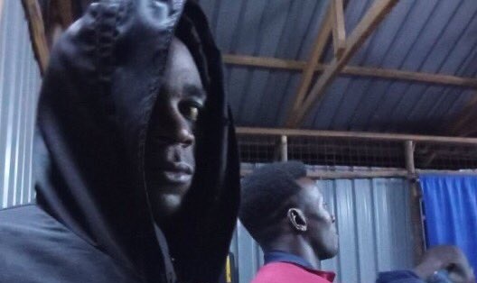 Honey badger tweet media