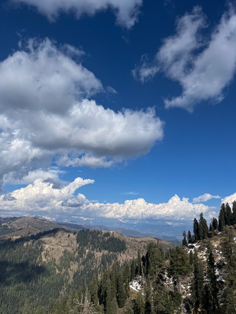 Ibtisaam Khan 🇵🇸 tweet media