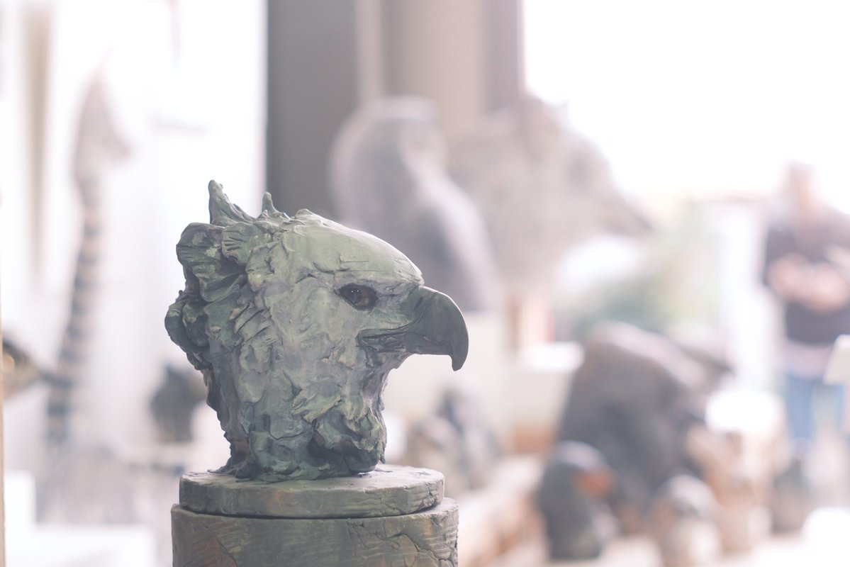 FUKUDA Toru 福田 亨 tweet media