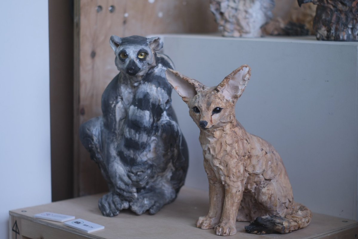 FUKUDA Toru 福田 亨 tweet media