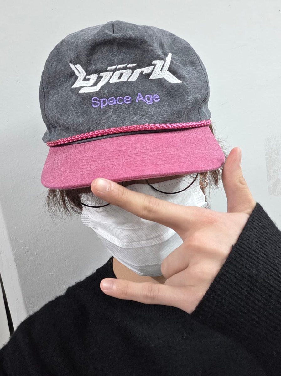 acervö björk tweet media