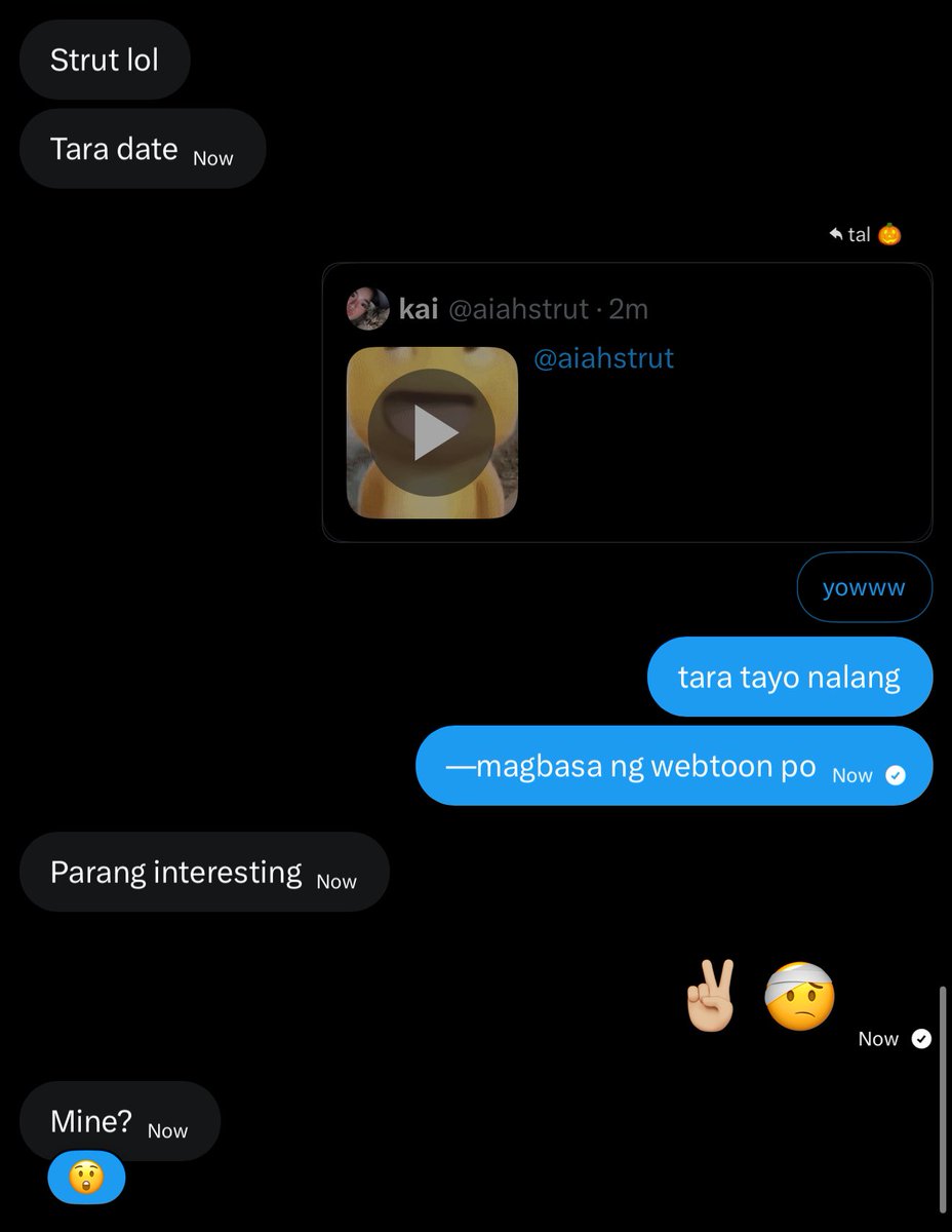 tal 🎃 tweet media